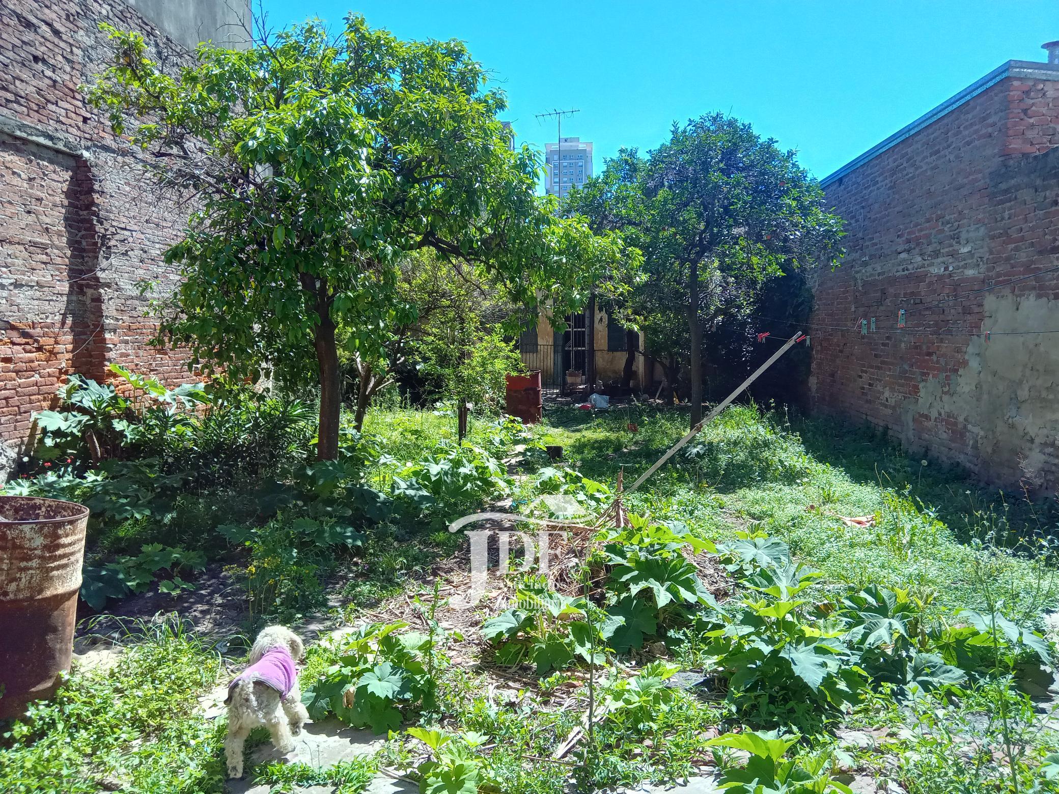 foto de la propiedad